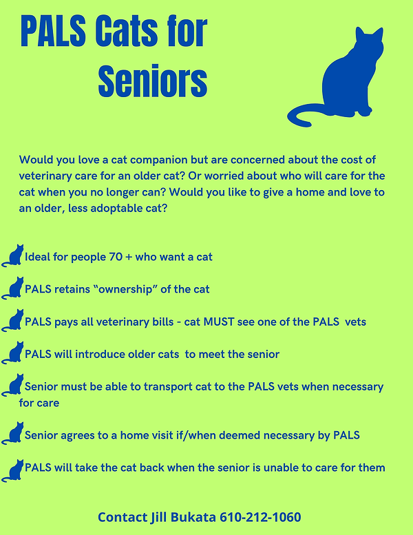Cats For Seniors Program The Pet Adoption And Cats for seniors program the pet adoption and